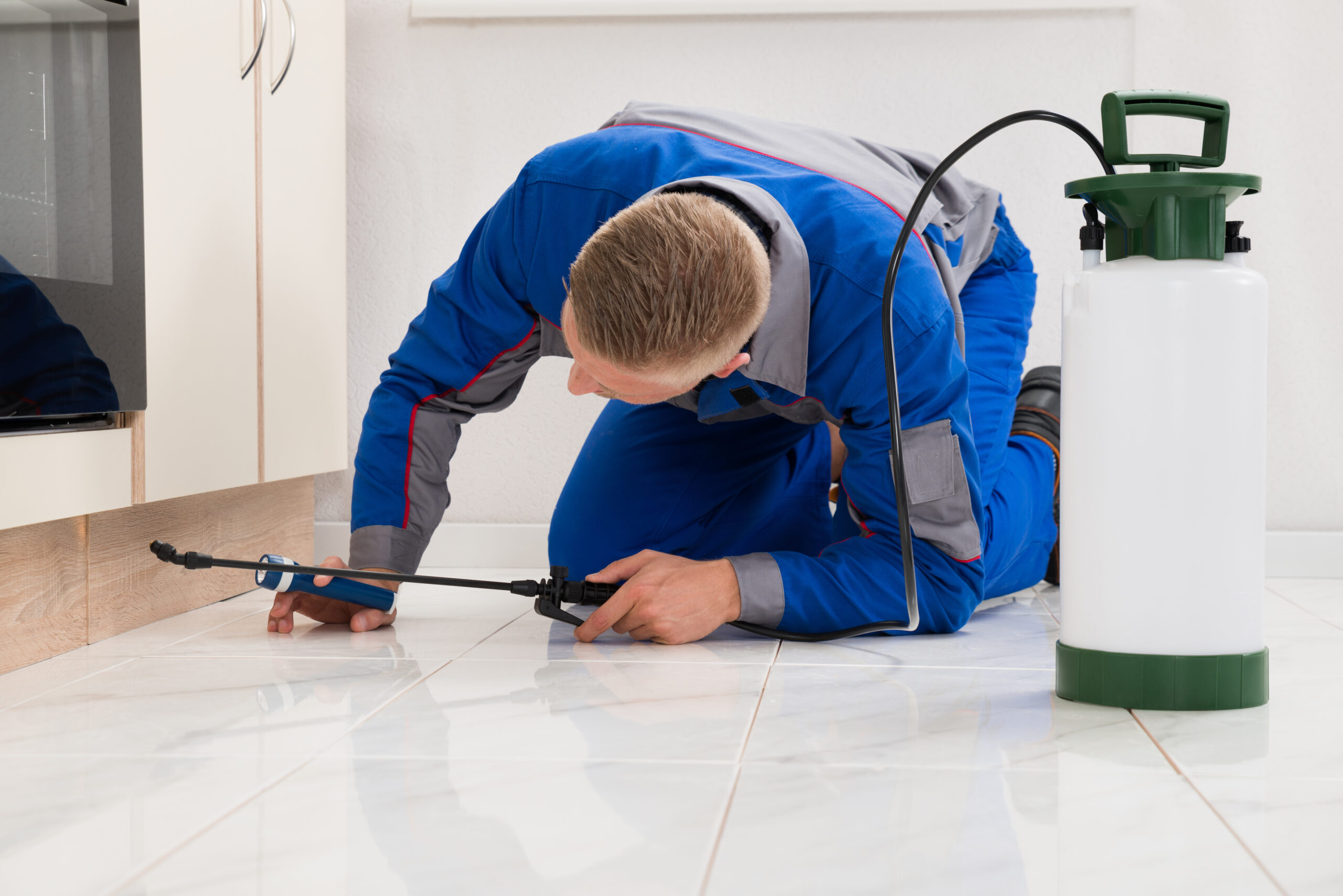 Eco-Friendly Pest Control Bradenton